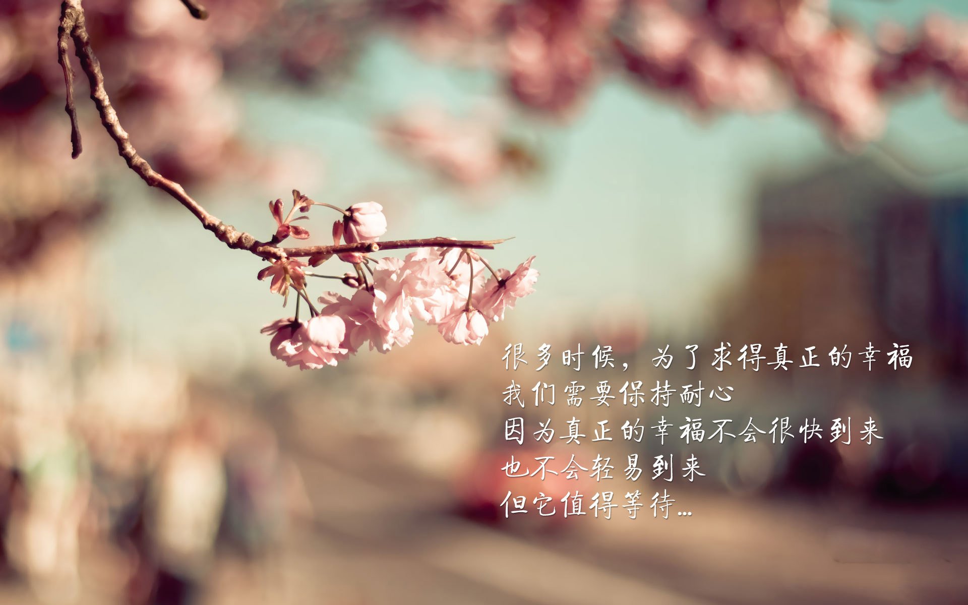 虚拟赛车体验:未来速度的想象,虚拟现实赛车