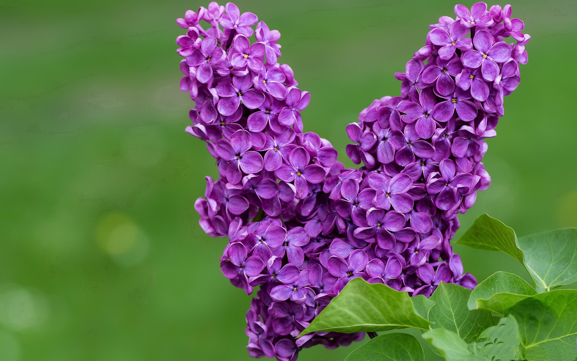 国足以“稳”为主,冲击亚洲杯荣耀目标