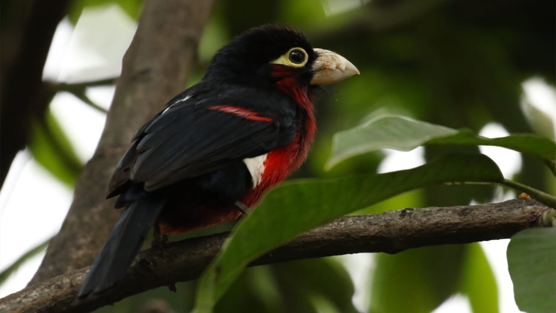 im体育官方平台-国足伤员陆续复出，阵容趋于完整，国足伤病情况