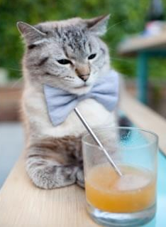 山东男篮积极备战,迅速反弹取得胜利,山东男篮战况