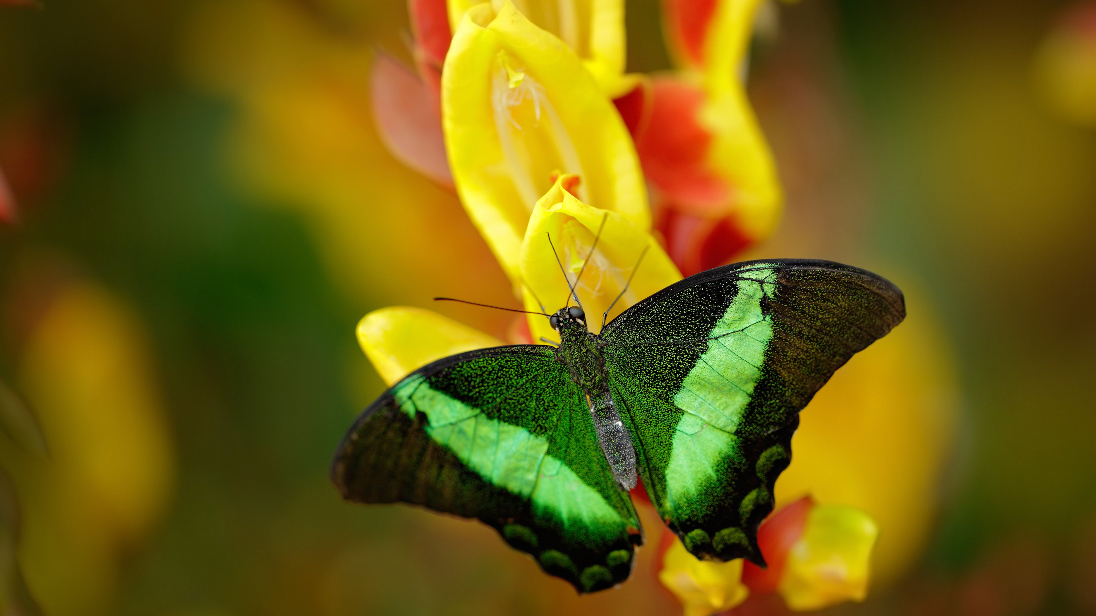 im体育app官方下载-拜仁慕尼黑欧冠小组出线仍未保证，拜仁慕尼黑2020欧冠战绩