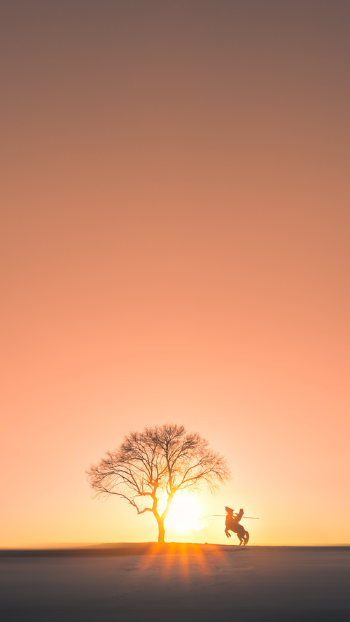 曼城主场被热刺逆转,遭遇两连败,曼城0-1热刺