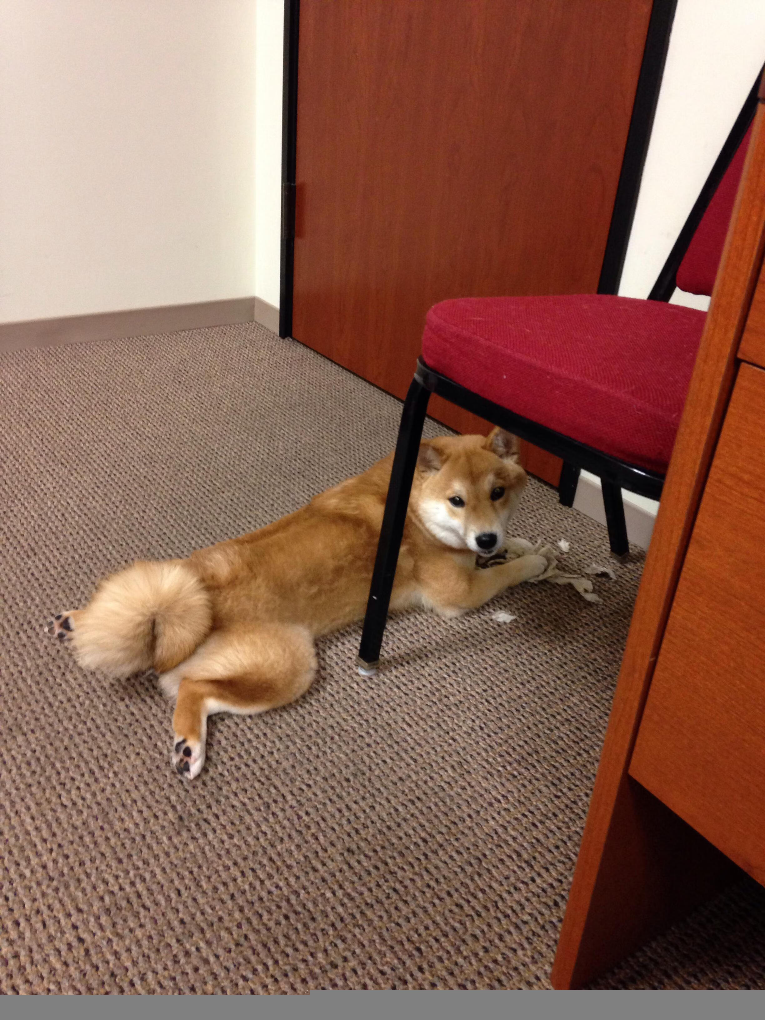 深圳佳兆业迎战广州恒大,胜负之争谁将称霸赛场?,深圳佳兆业对广州恒大