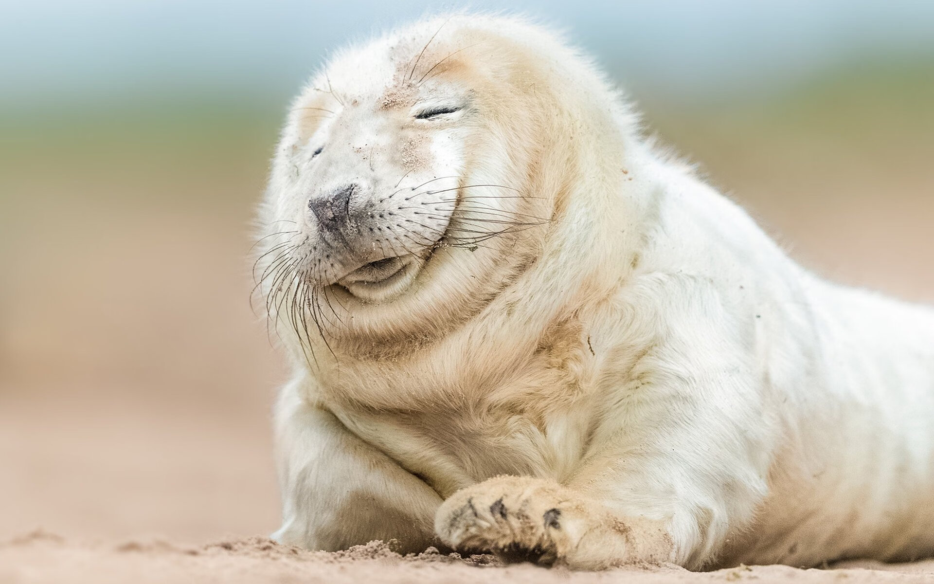 俱乐部人员流动管理机制缺口大,俱乐部人员管理制度