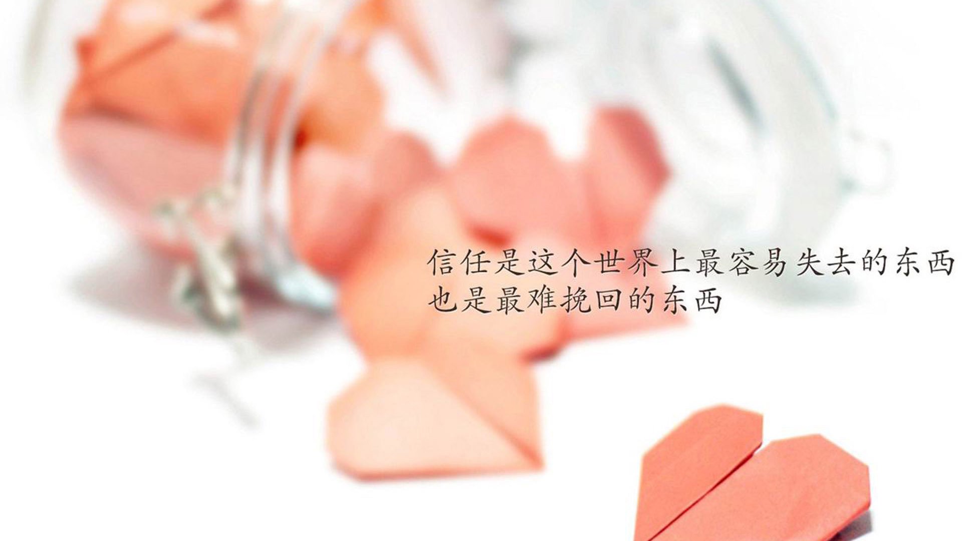 im体育官网首页-弗赖堡中前场联动打破进攻瓶颈，弗赖堡队