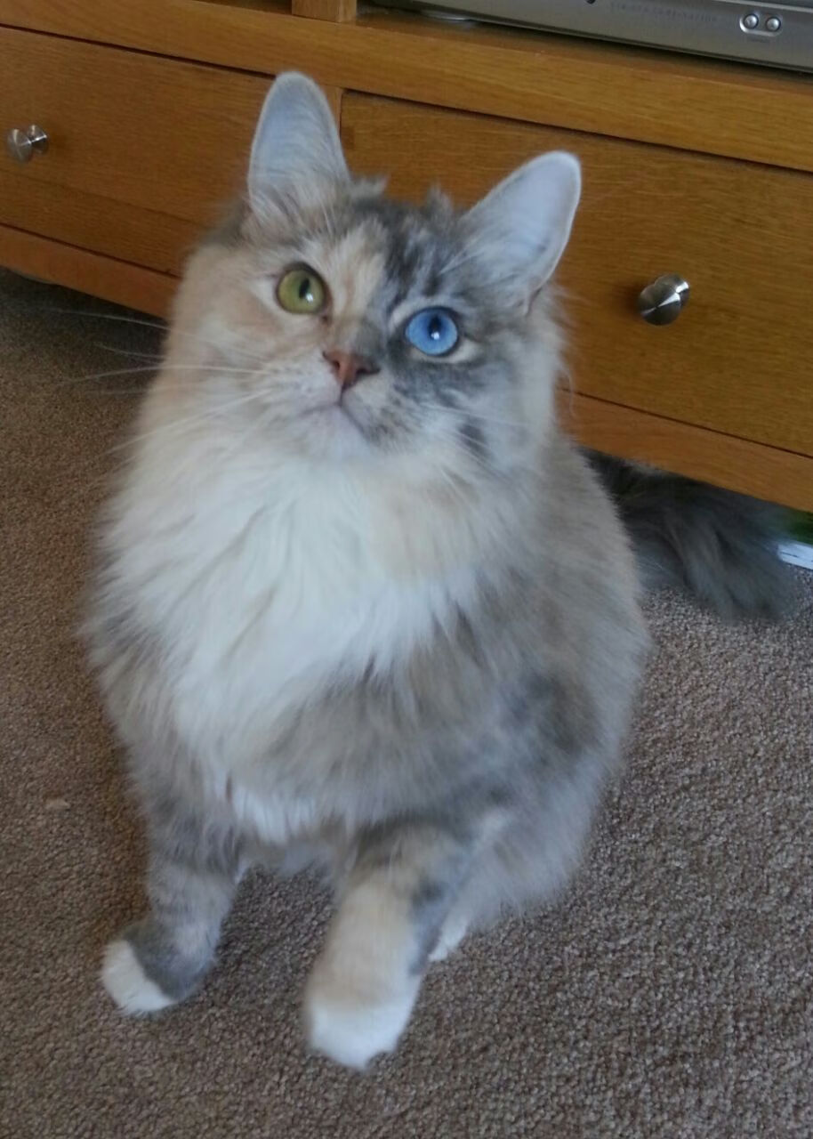 im电竞官方版-门兴格拉德巴赫通过中路渗透撕破防线