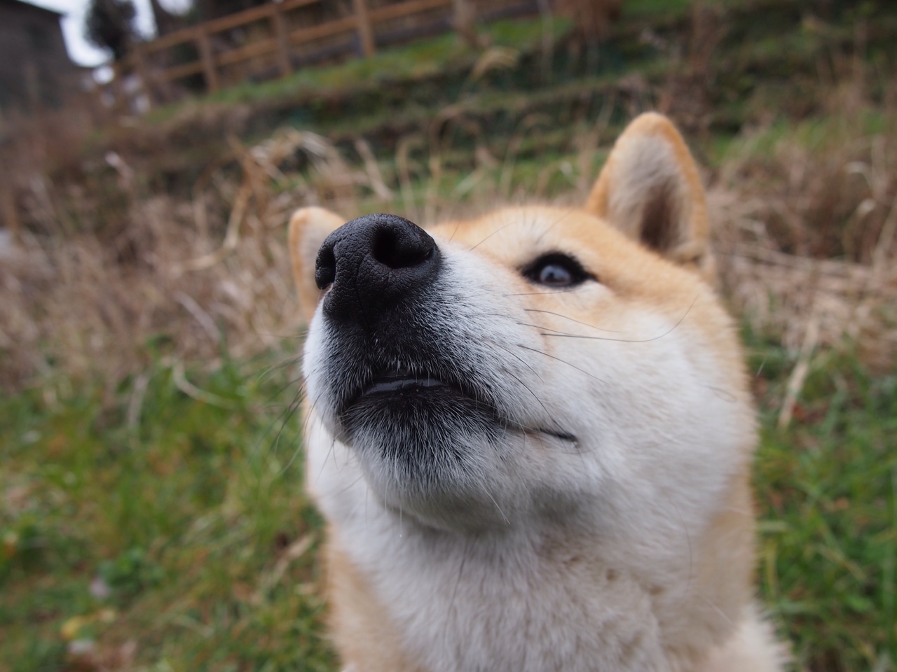 im电竞官方版-高校体育场馆寒假期间对外有序开放，高校体育场馆管理办法