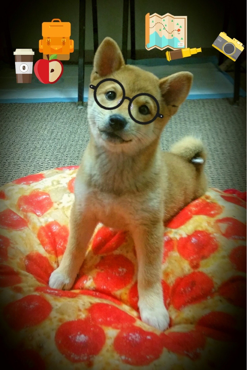 “华金·托比利亚的敏捷防守与精准传球,为美洲狮队带来重要胜利”