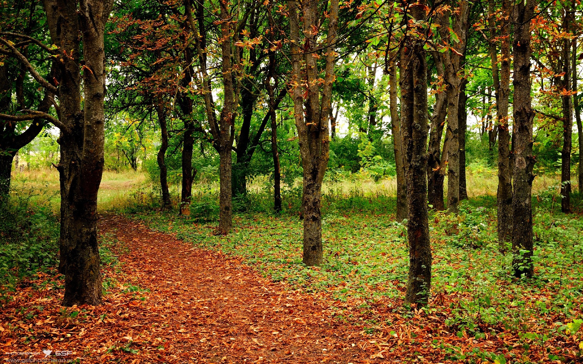 世界杯刺激角逐:逆境逆袭成就传奇瞬间,世界杯记