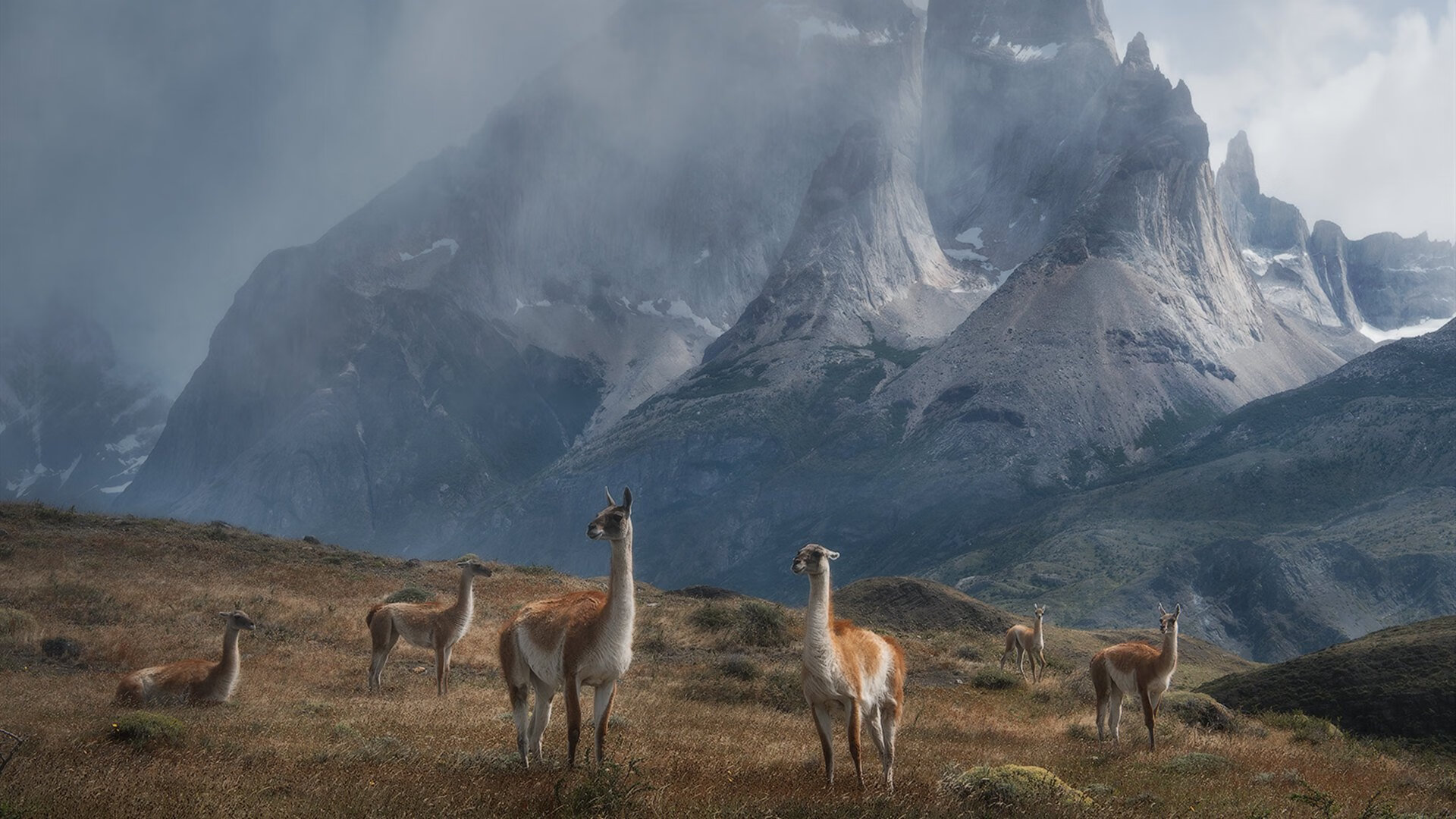 IM体育中国区官网-恩比德称联盟内线竞争激烈需保持状态，恩比德资料