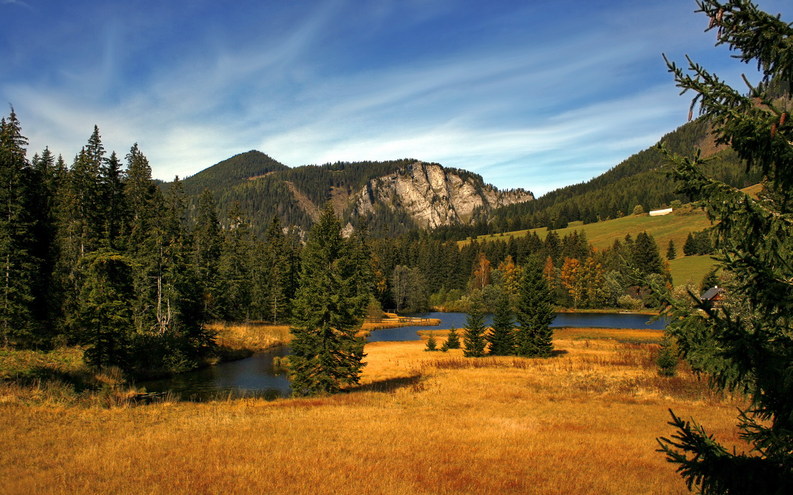 斯洛伐克男篮在欧洲大赛中勇敢逐梦,迈向更高平台,斯洛伐克男篮实力
