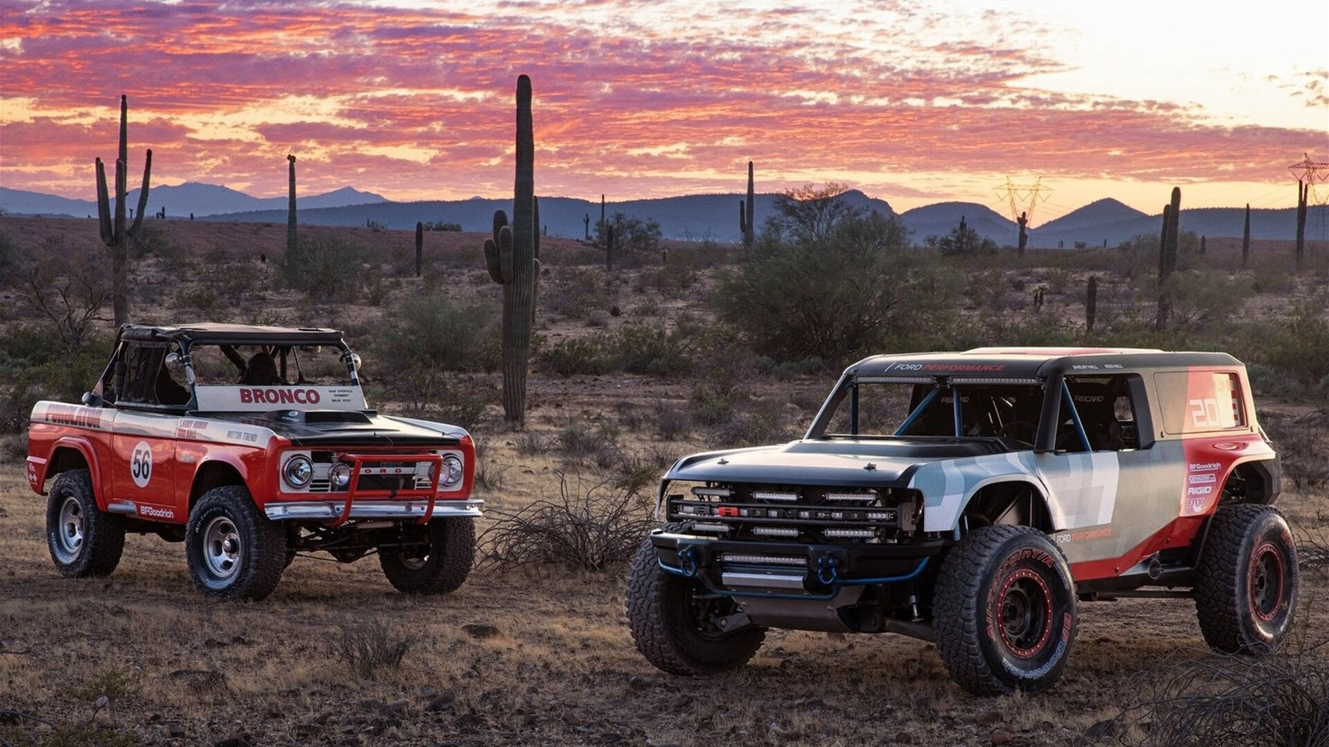 im电竞官网首页-林丹参观母校新体育馆赞叹设施完善，林丹体育公司