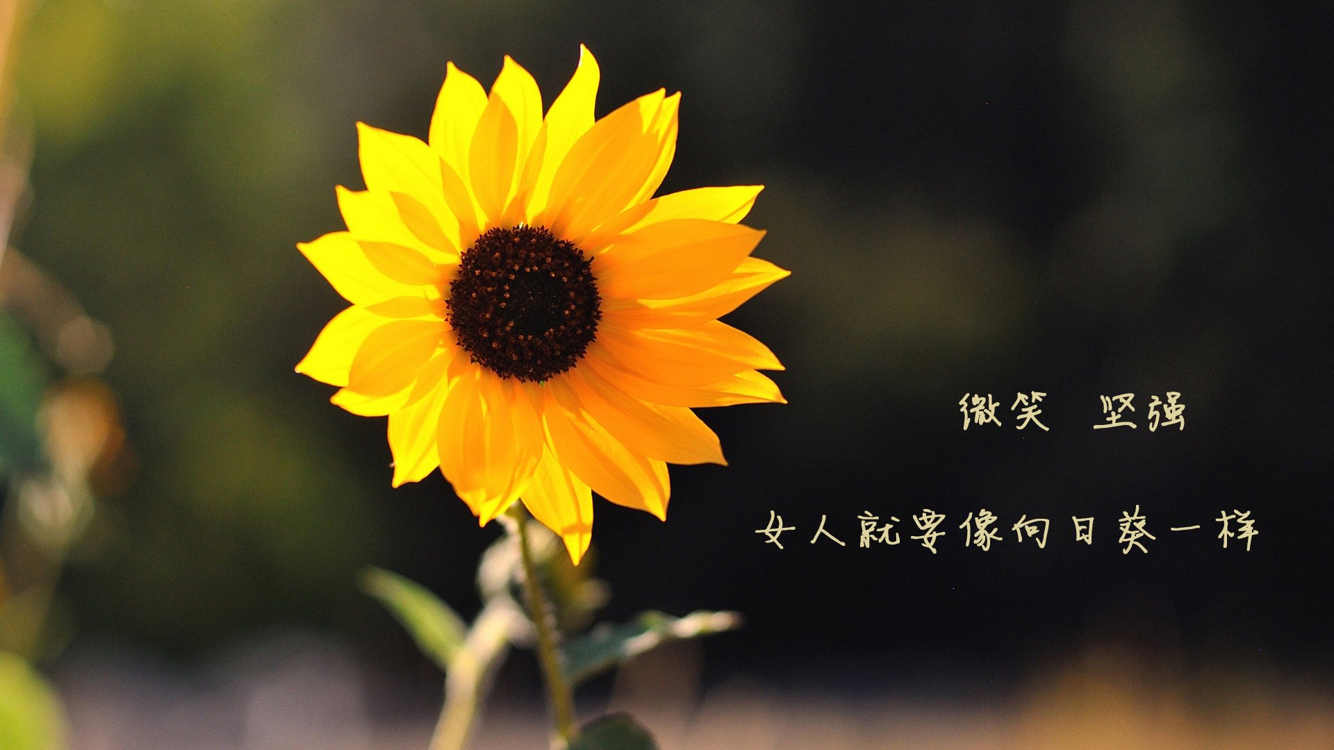 水球比赛中立代表队A防守坚固,水球比赛中球最多在手中停留多少秒