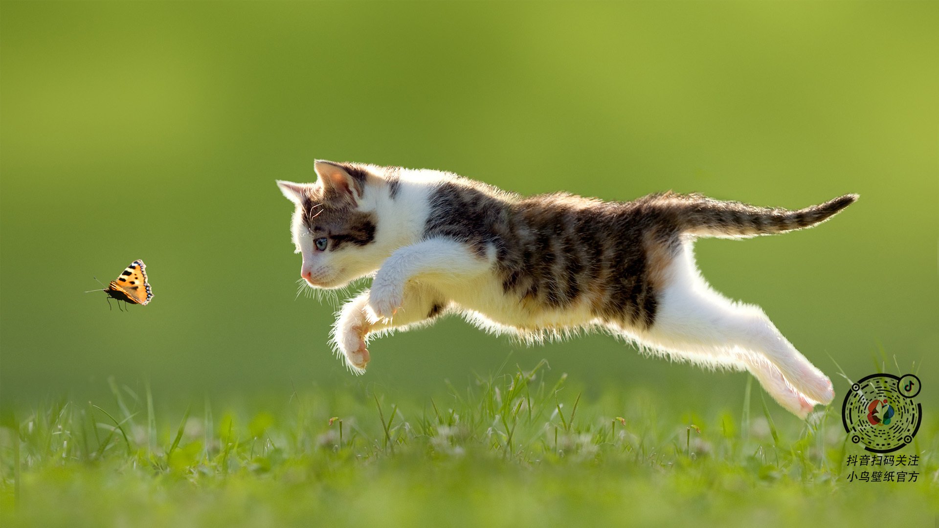 im体育app官方下载-法国橄榄球：强大的青训体系为全球输送顶级人才，法国橄榄球厉害吗