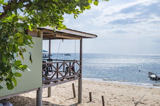 IM Sports-绿色场馆覆盖智能环保系统，推动全球体育绿色低碳行动，绿色场馆建设